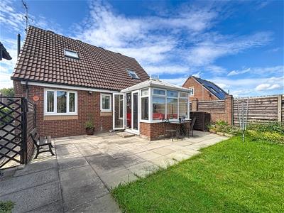 Picture 20